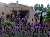 Fotografies del corral i de l'hort ecològic de Cal Sabater d'Ordis