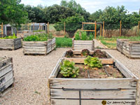Fotografies del corral i de l'hort ecològic de Cal Sabater d'Ordis