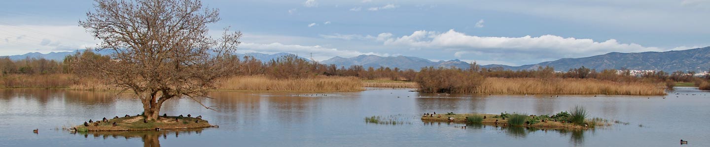 Aiguamolls de l´Empordà
